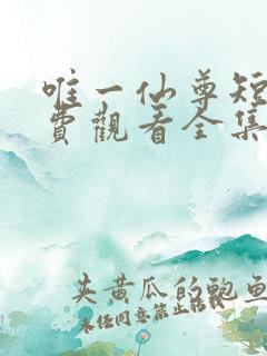 唯一仙尊短剧免费观看全集