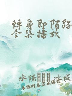 转身即陌路短剧全集播放