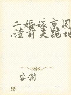 二婚嫁京圈大佬,渣前夫跪地求复婚小说