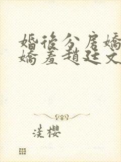 婚后分房娇夫别娇羞赵廷文结局