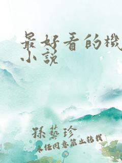 最好看的机甲类小说