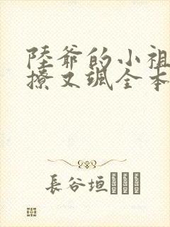 陆爷的小祖宗又撩又飒全本免费阅读