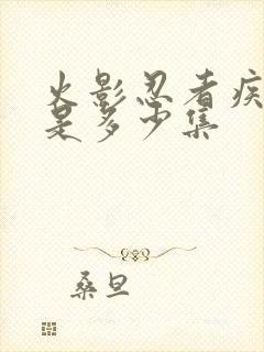 火影忍者疾风传是多少集