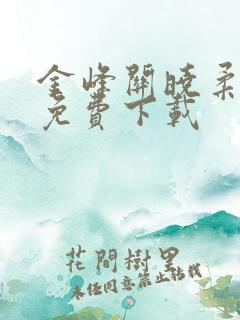 金峰关晓柔全文免费下载