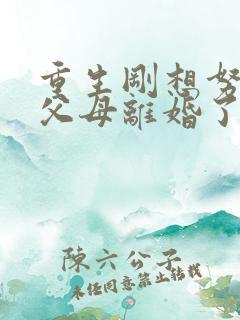 重生刚想努力,父母离婚了短剧