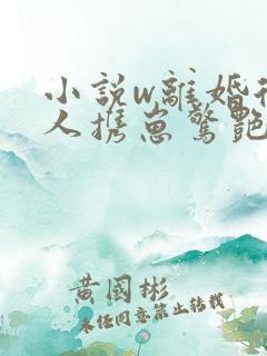 小说w离婚后夫人携崽惊艳全球》