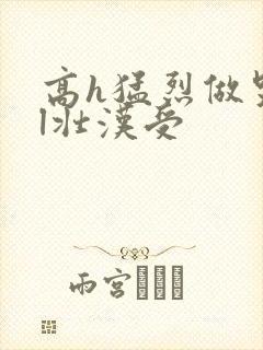 高h猛烈做哭bl壮汉受