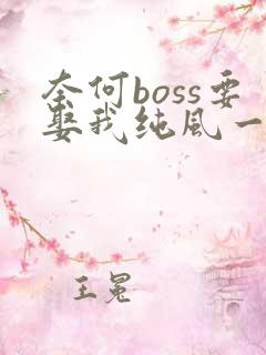 奈何boss要娶我纯风一度全文