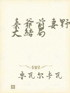 秦爷前妻野又飒大结局