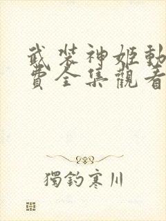 武装神姬动漫免费全集观看