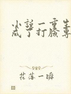 小说一重生后我成了打脸专业户