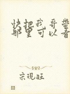 快把我哥带走在那里可以看