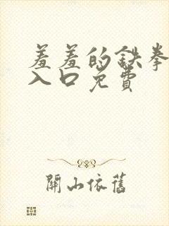 羞羞的铁拳漫画入口免费