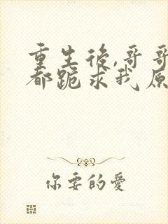 重生后,哥哥们都跪求我原谅三部关系