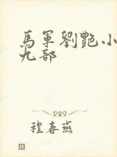 马军刘艳小说第九部