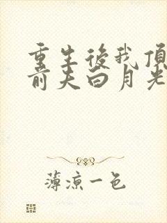 重生后我顶替了前夫白月光的简介