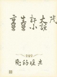 重生许大茂的小舅舅小说