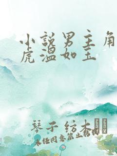 小说男主角贾二虎温如玉