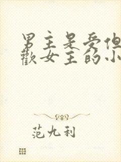 男主是受但是喜欢女主的小说