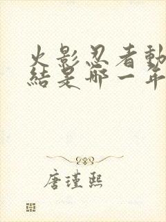 火影忍者动画完结是哪一年