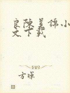 良陈美锦小说全文下载