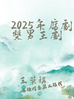 2025年腐剧双男主剧
