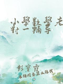 小学数学老师一对一辅导