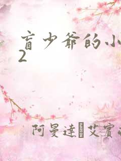 盲少爷的小女仆2