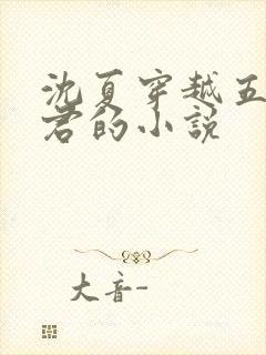 沈夏穿越五个夫君的小说