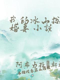 我的冰山总裁未婚妻 小说