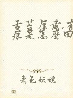 舌苔厚黄,有齿痕是怎么回事