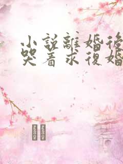 小说离婚后前夫哭着求复婚免费阅读