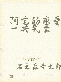 阿宅的恋爱真难一共几季