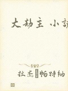 大劫主 小说