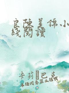 良陈美锦小说在线阅读