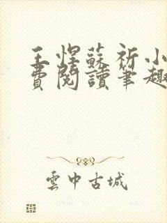 王悍苏祈小说免费阅读笔趣阁最新