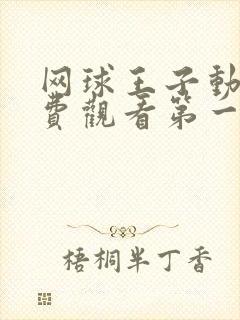 网球王子动漫免费观看第一季