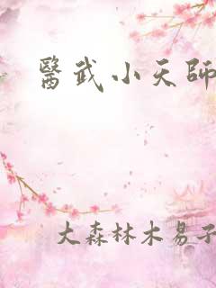 医武小天师短剧