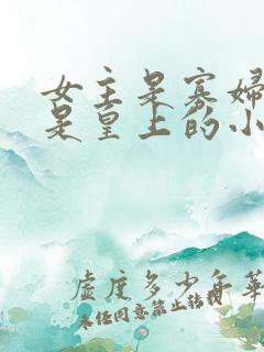 女主是寡妇男主是皇上的小说