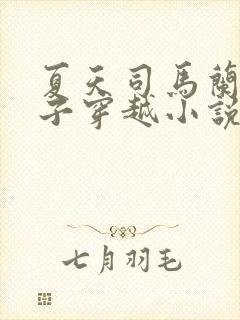 夏天司马兰九皇子穿越小说笔趣阁