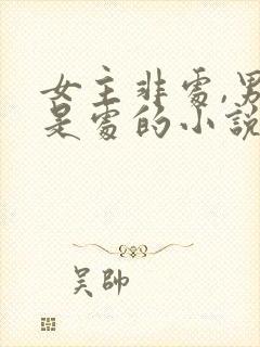 女主非处,男主是处的小说