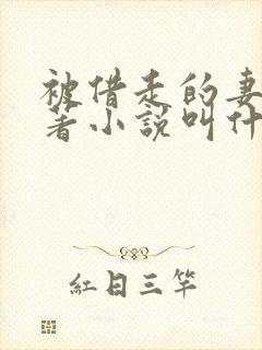 被借走的妻子原著小说叫什么名字