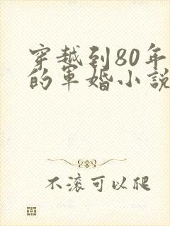 穿越到80年代的军婚小说