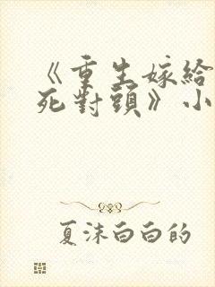 《重生嫁给前夫死对头》小说