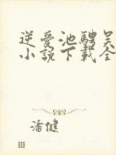 逆爱池骋吴所畏小说下载全文