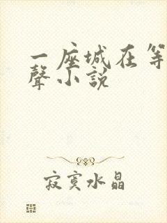 一座城在等你有声小说