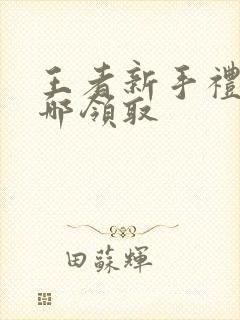 王者新手礼包在哪领取