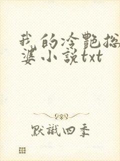 我的冷艳总裁老婆小说txt