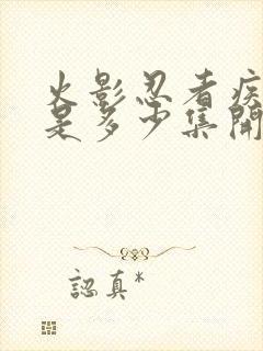 火影忍者疾风传是多少集开始