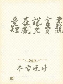 爱在谎言尽头时短剧免费观看